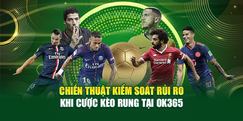 Chiến thuật kiểm soát rủi ro khi cược kèo rung tại Ok365