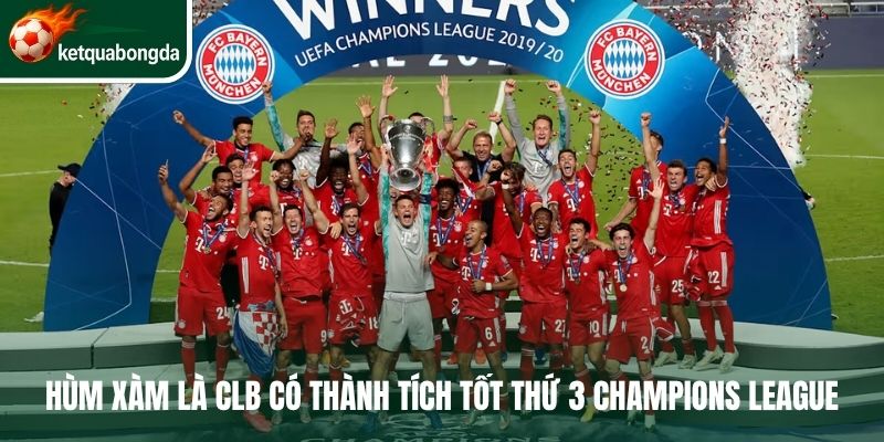 Hùm xám là CLB có thành tích tốt thứ 3 Champions League