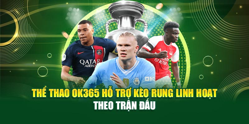 Thể Thao Ok365 hỗ trợ kèo rung linh hoạt theo trận đấu