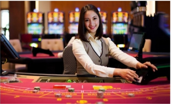 Dealer baccarat ALO8