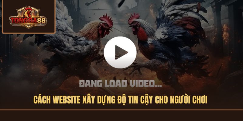 Cách website xây dựng độ tin cậy cho người chơi Cách website xây dựng độ tin cậy cho người chơi
