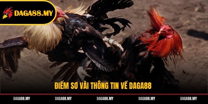 Điểm sơ vài thông tin về DAGA88