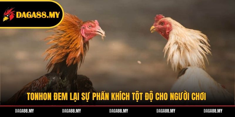 Tonhon đem lại sự phấn khích tột độ cho người chơi
