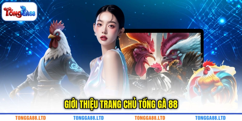 Giới thiệu trang chủ TỔNG GÀ 88