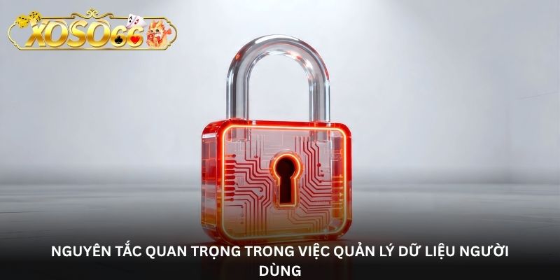 Nguyên tắc quan trọng trong việc quản lý dữ liệu người dùng