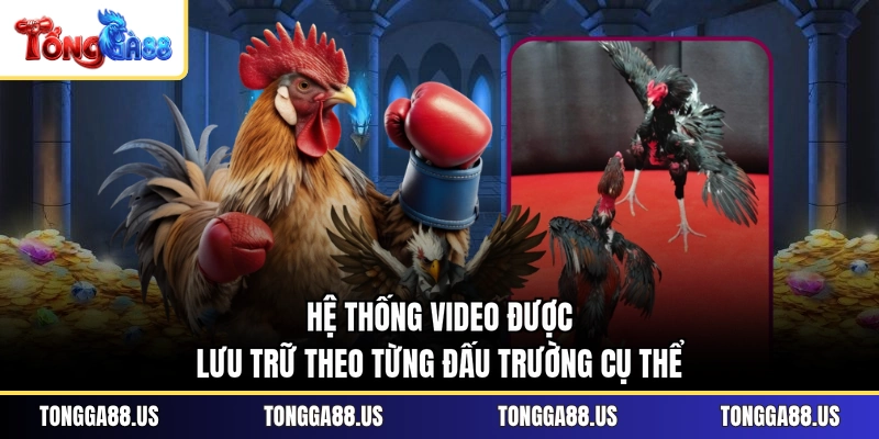 Hệ thống video được lưu trữ theo từng đấu trường cụ thể Hệ thống video được lưu trữ theo từng đấu trường cụ thể