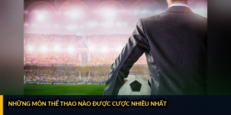bieu-do-ty-trong-luot-cuoc-theo-mon-the